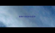 宠物打完疫苗后症状