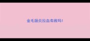 金毛肠炎拉血有救吗