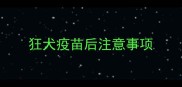 狂犬疫苗后注意事项