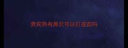 贵宾狗有鼻炎可以打疫苗吗