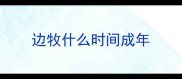 边牧什么时间成年