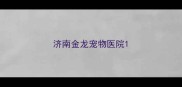 济南金龙宠物医院