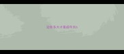 边牧多大才是成年犬6