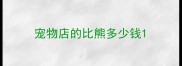 宠物店的比熊多少钱