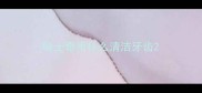 哈士奇用什么清洁牙齿
