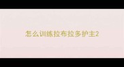 怎么训练拉布拉多护主