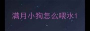 满月小狗怎么喂水