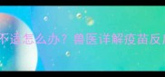 狗狗接种疫苗后肠胃不适怎么办兽医详解疫苗反应与家庭护理全指南