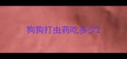 狗狗打虫药吃多少