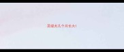 灵缇犬几个月长大