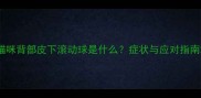 猫咪背部皮下滚动球是什么症状与应对指南