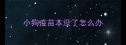 小狗疫苗本没了怎么办