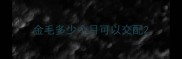 金毛多少个月可以交配