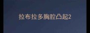 拉布拉多胸腔凸起