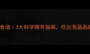 泰迪犬护眼食谱3大科学喂养指南吃出亮晶晶的狗狗眼睛