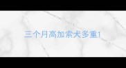 三个月高加索犬多重