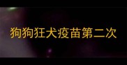 狗狗狂犬疫苗第二次