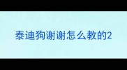 泰迪狗谢谢怎么教的