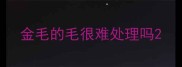 金毛的毛很难处理吗