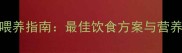 3个月比熊犬科学喂养指南最佳饮食方案与营养建议附食谱