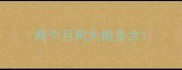 两个月狗大概多大