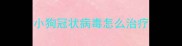 小狗冠状病毒怎么治疗