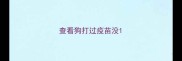 查看狗打过疫苗没