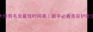 泰迪犬修剪毛发最佳时间表新手必看美容护理全攻略