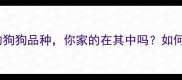 10个比哈士奇更胖的狗狗品种你家的在其中吗如何科学养出健康胖狗