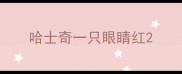 哈士奇一只眼睛红