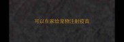 可以在家给宠物注射疫苗