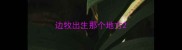边牧出生那个地方