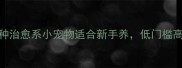 女生必看这5种治愈系小宠物适合新手养低门槛高幸福感指南