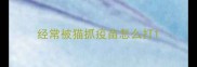 经常被猫抓疫苗怎么打
