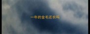 一年的金毛还长吗