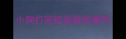 小狗打完疫苗能抱着吗