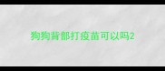 狗狗背部打疫苗可以吗