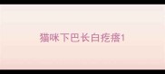 猫咪下巴长白疙瘩