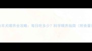 3月龄边境牧羊犬喂养全攻略每日吃多少科学喂养指南附食量计算公式