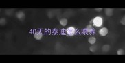40天的泰迪怎么喂养