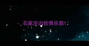 石家庄边牧俱乐部