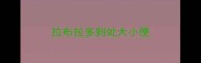 拉布拉多到处大小便