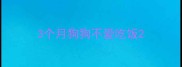 3个月狗狗不爱吃饭