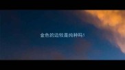 金色的边牧是纯种吗