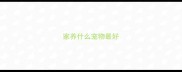 家养什么宠物最好