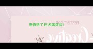 宠物得了狂犬病症状