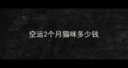 空运2个月猫咪多少钱