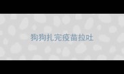 狗狗扎完疫苗拉吐