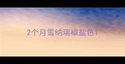 2个月雪纳瑞椒盐色