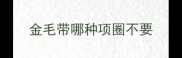 金毛带哪种项圈不要